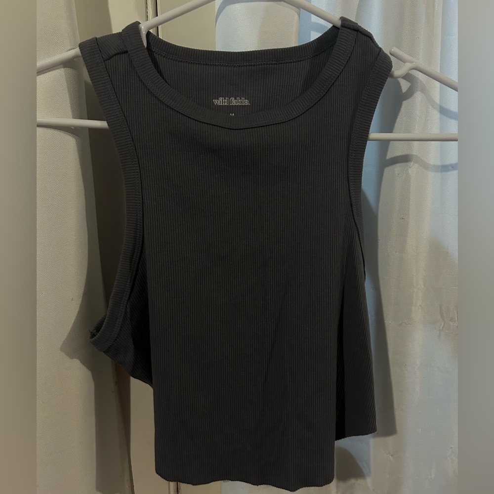 Wild Fable Cropped Tank